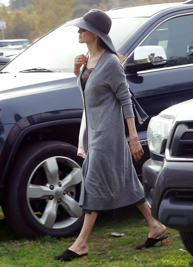 Angelina Jolie Golden Heel Mules Style